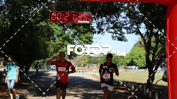 Acquista le foto dell'eventoPIT BULL RUNNING in Fotop