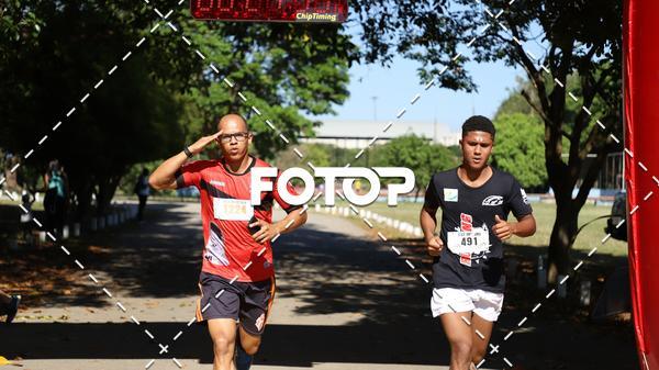 Acquista le foto dell'eventoPIT BULL RUNNING in Fotop