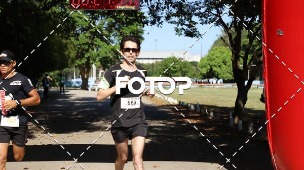 Compre as suas fotos do eventoPIT BULL RUNNING no Fotop