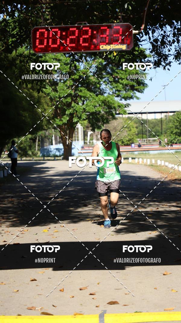 Compre as suas fotos do eventoPIT BULL RUNNING no Fotop