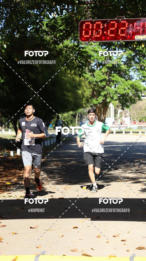 Compre as suas fotos do eventoPIT BULL RUNNING no Fotop