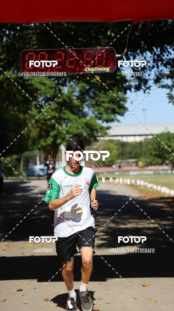 Compre as suas fotos do eventoPIT BULL RUNNING no Fotop