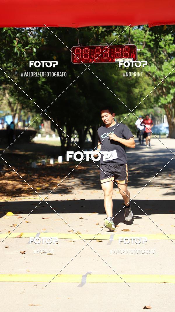 Compre suas fotos do eventoPIT BULL RUNNING no Fotop