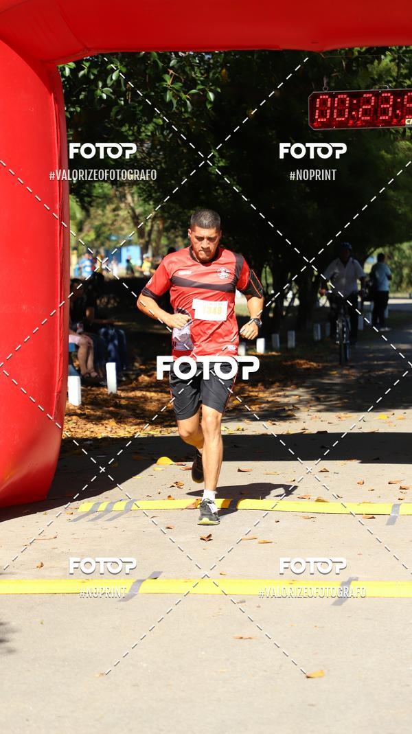 Compre suas fotos do eventoPIT BULL RUNNING no Fotop