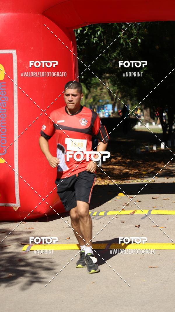 Compre suas fotos do eventoPIT BULL RUNNING no Fotop