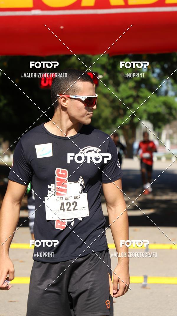 Acquista le foto dell'eventoPIT BULL RUNNING in Fotop