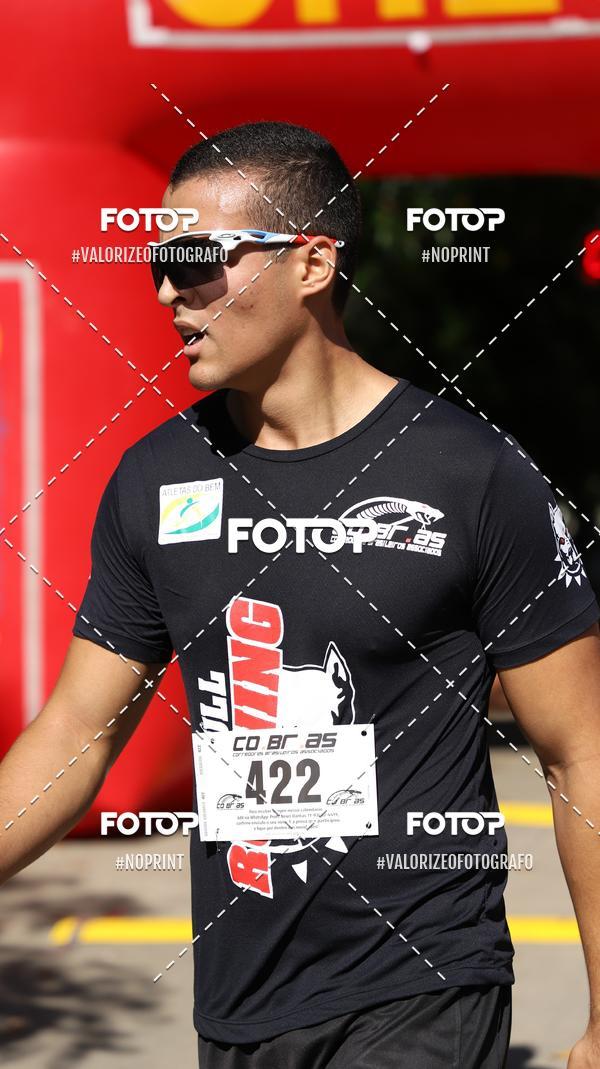 Acquista le foto dell'eventoPIT BULL RUNNING in Fotop