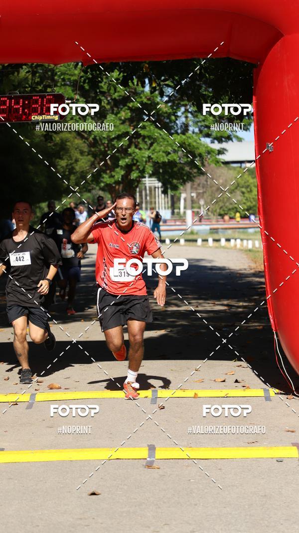 Acquista le foto dell'eventoPIT BULL RUNNING in Fotop