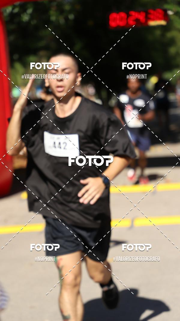 Acquista le foto dell'eventoPIT BULL RUNNING in Fotop