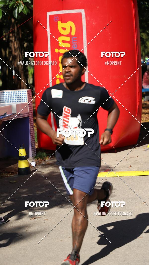 Acquista le foto dell'eventoPIT BULL RUNNING in Fotop