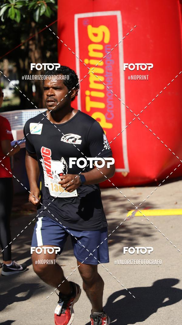 Acquista le foto dell'eventoPIT BULL RUNNING in Fotop