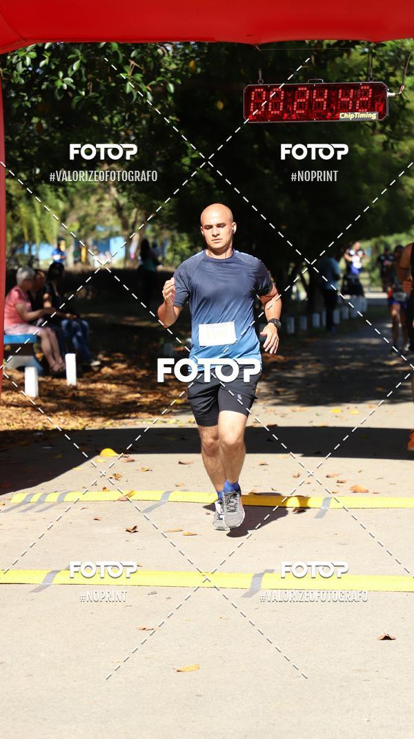 Acquista le foto dell'eventoPIT BULL RUNNING in Fotop