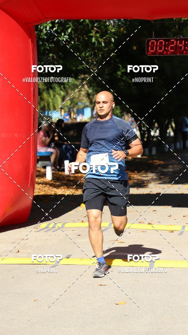 Acquista le foto dell'eventoPIT BULL RUNNING in Fotop