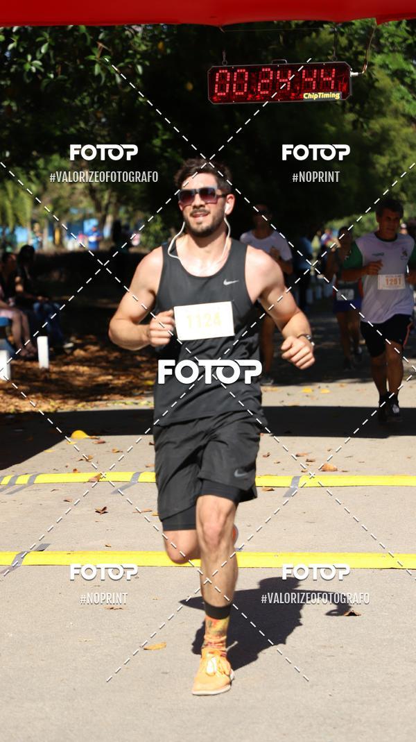 Acquista le foto dell'eventoPIT BULL RUNNING in Fotop