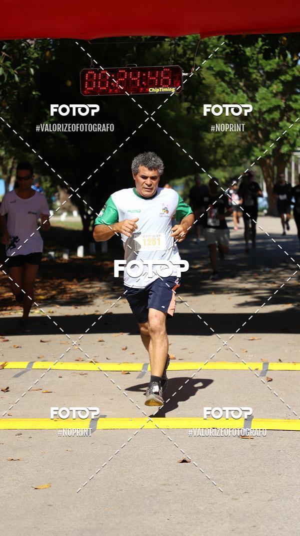 Acquista le foto dell'eventoPIT BULL RUNNING in Fotop