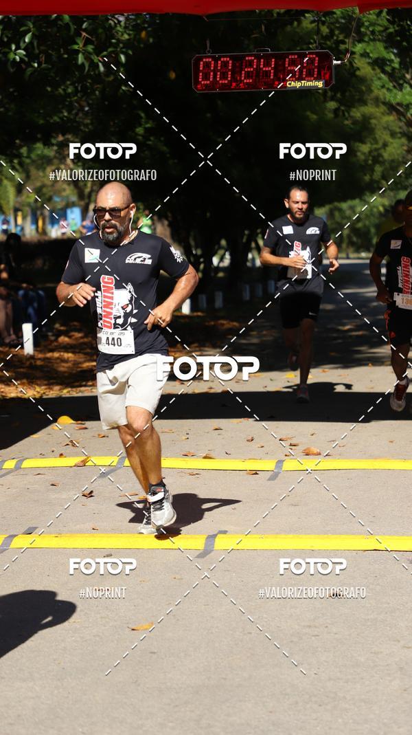 Acquista le foto dell'eventoPIT BULL RUNNING in Fotop