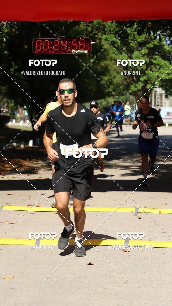 Acquista le foto dell'eventoPIT BULL RUNNING in Fotop