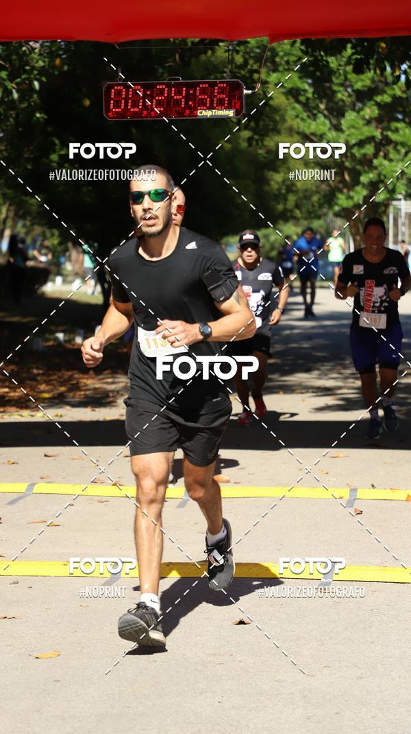 Acquista le foto dell'eventoPIT BULL RUNNING in Fotop