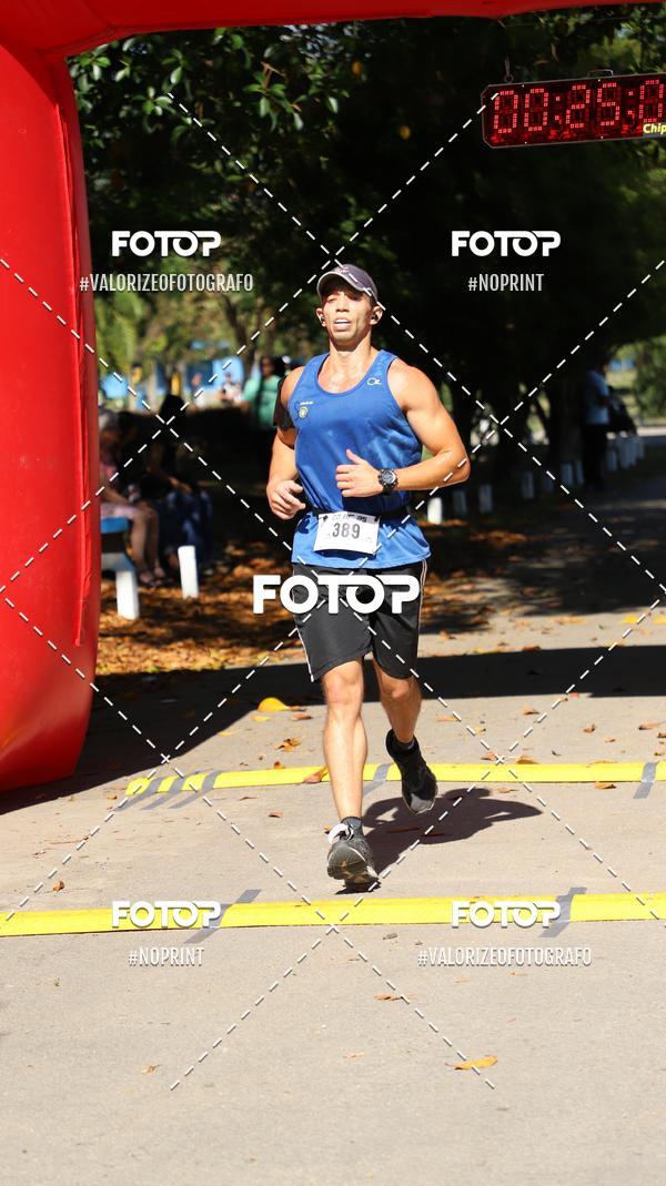 Acquista le foto dell'eventoPIT BULL RUNNING in Fotop