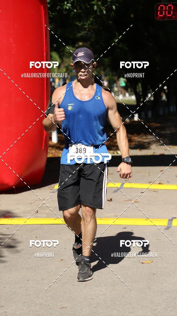 Acquista le foto dell'eventoPIT BULL RUNNING in Fotop