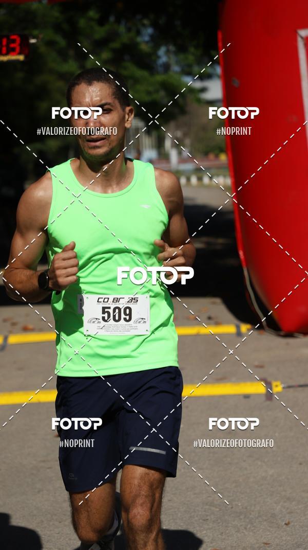 Acquista le foto dell'eventoPIT BULL RUNNING in Fotop