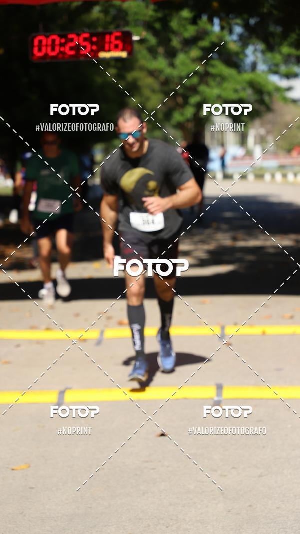 Acquista le foto dell'eventoPIT BULL RUNNING in Fotop