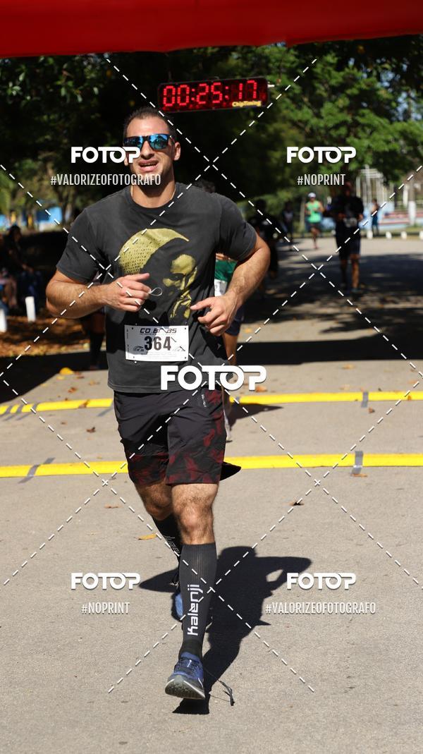 Acquista le foto dell'eventoPIT BULL RUNNING in Fotop