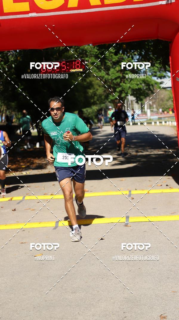 Acquista le foto dell'eventoPIT BULL RUNNING in Fotop