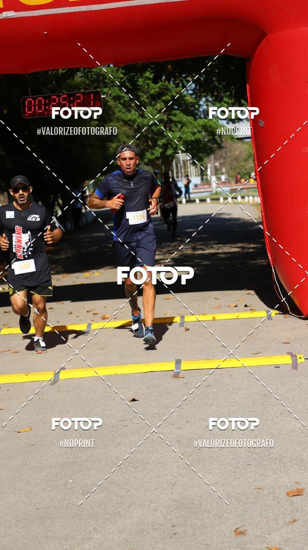 Acquista le foto dell'eventoPIT BULL RUNNING in Fotop