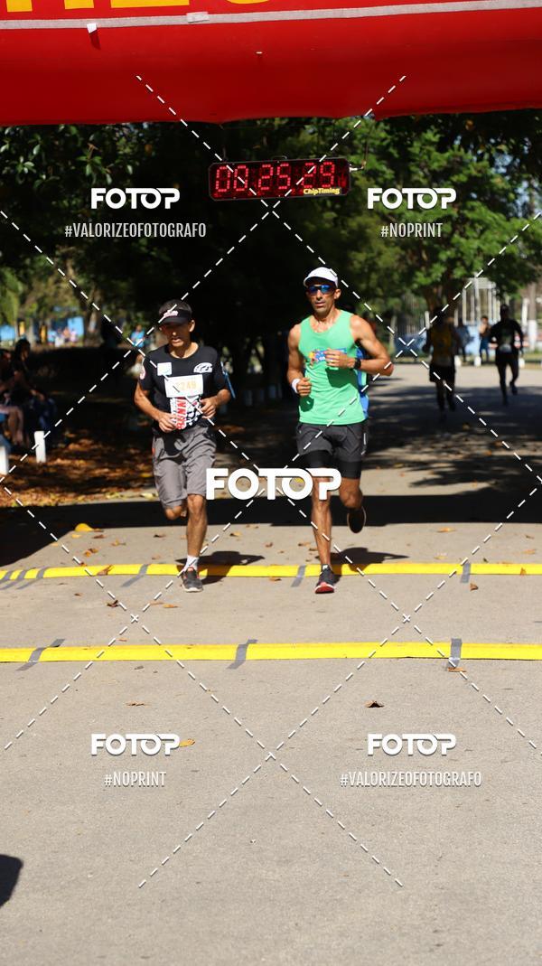 Acquista le foto dell'eventoPIT BULL RUNNING in Fotop