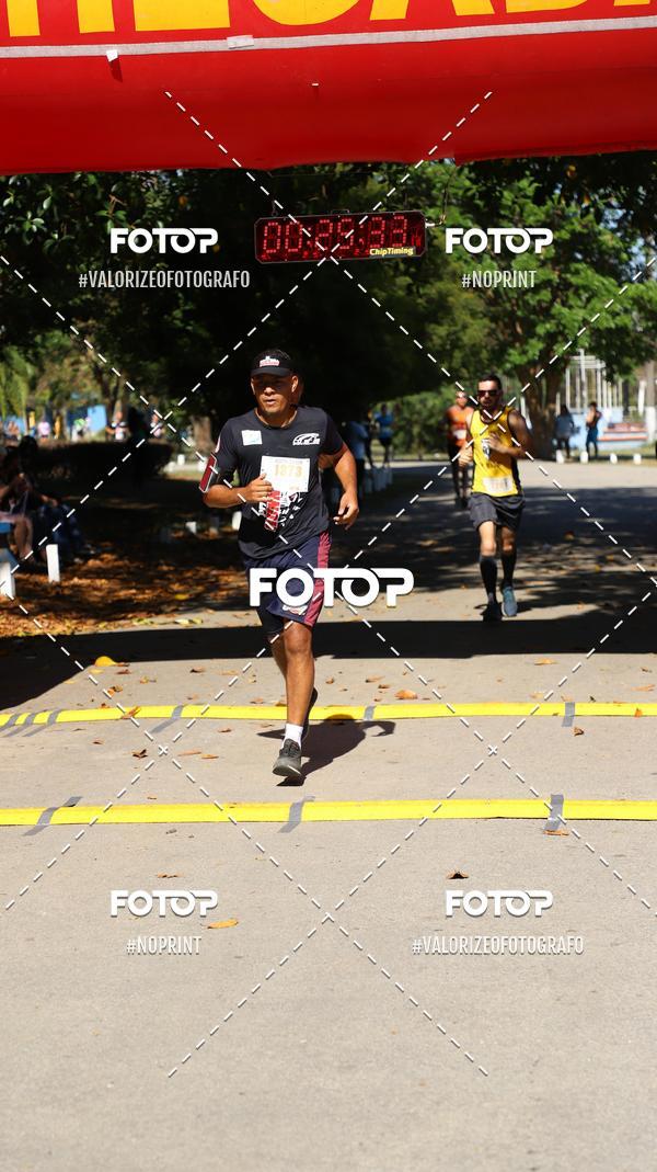 Acquista le foto dell'eventoPIT BULL RUNNING in Fotop