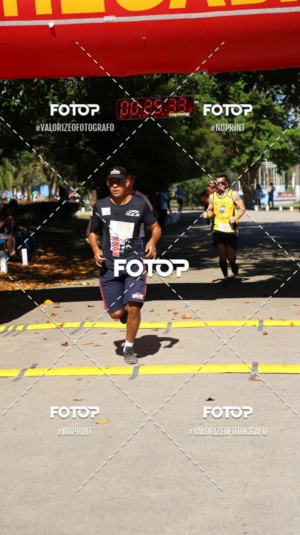 Acquista le foto dell'eventoPIT BULL RUNNING in Fotop