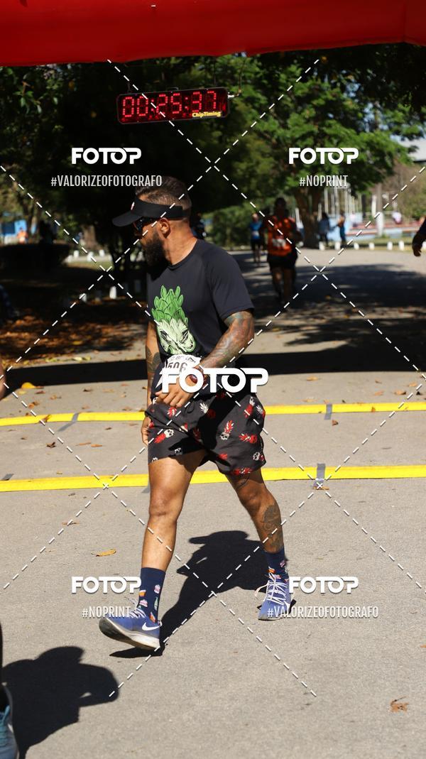 Acquista le foto dell'eventoPIT BULL RUNNING in Fotop