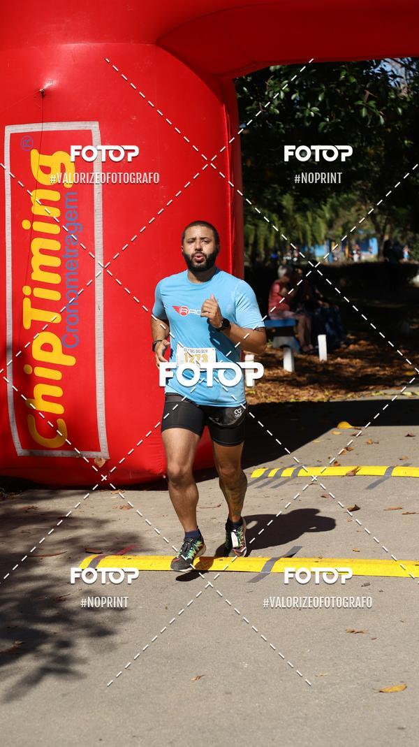 Achetez vos photos de l'vnementPIT BULL RUNNING sur Fotop