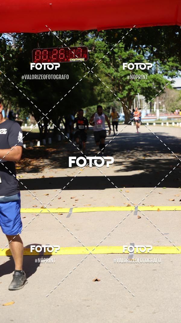 Achetez vos photos de l'vnementPIT BULL RUNNING sur Fotop