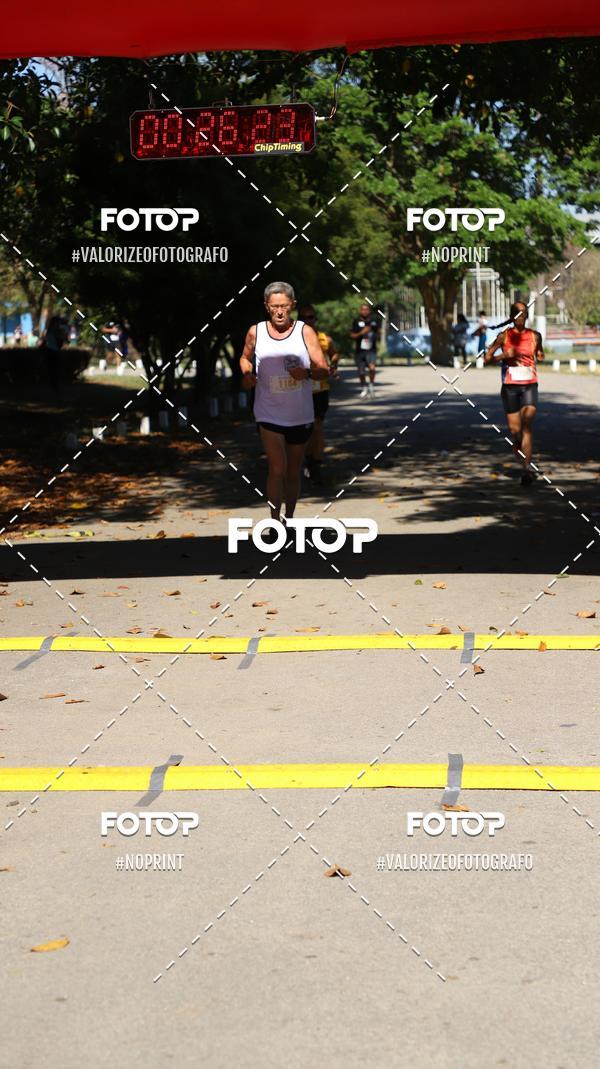 Compre as suas fotos do eventoPIT BULL RUNNING no Fotop