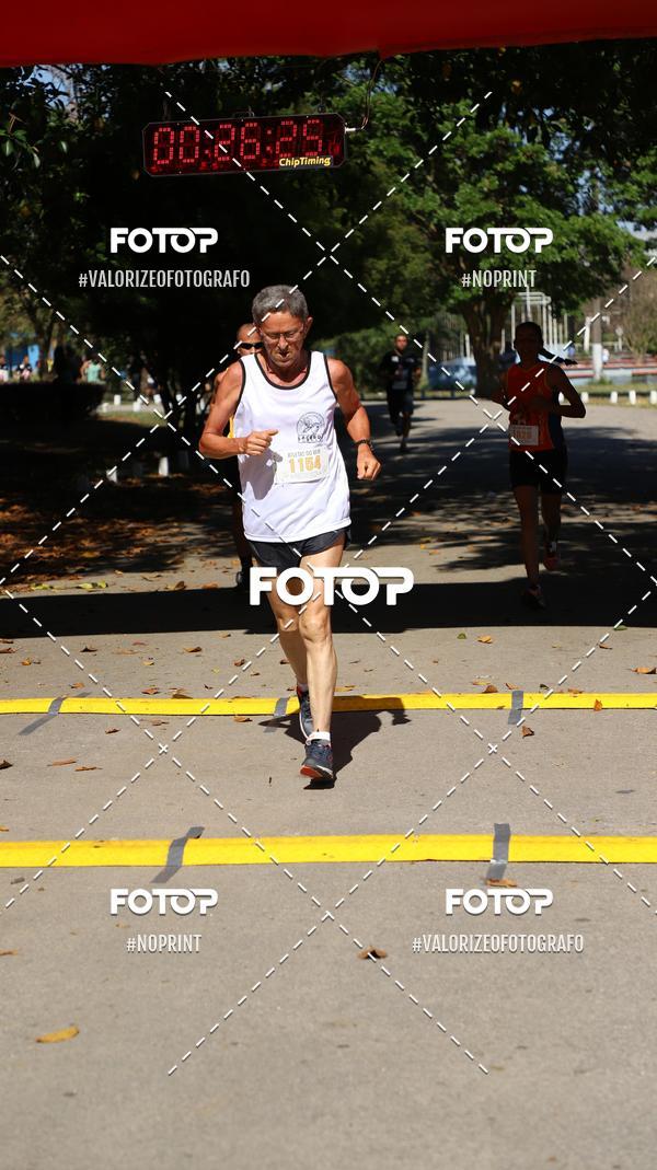 Compre as suas fotos do eventoPIT BULL RUNNING no Fotop