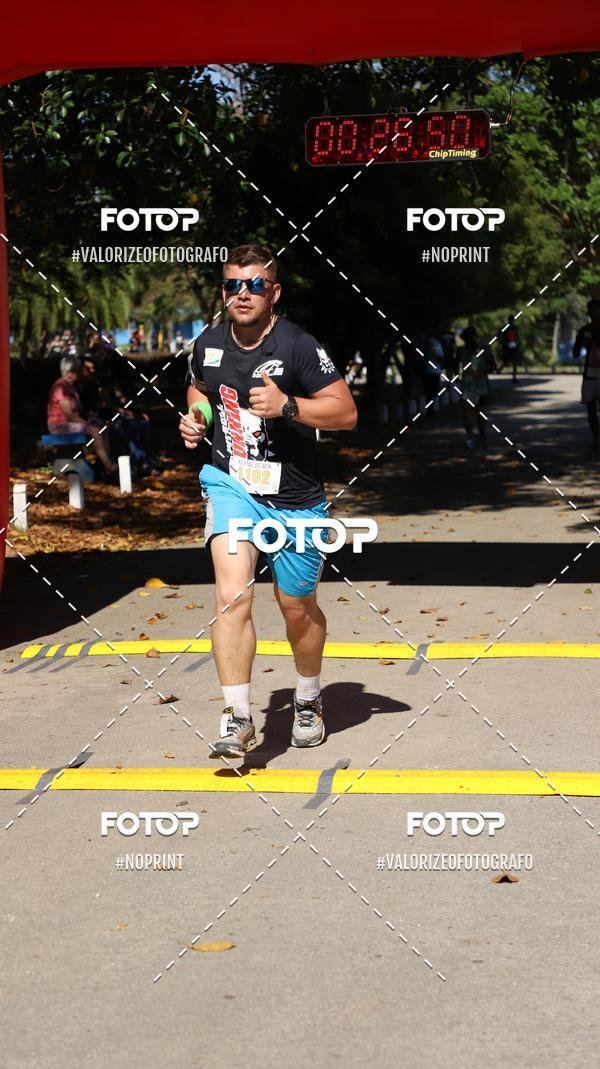 Compra tus fotos del eventoPIT BULL RUNNING En Fotop