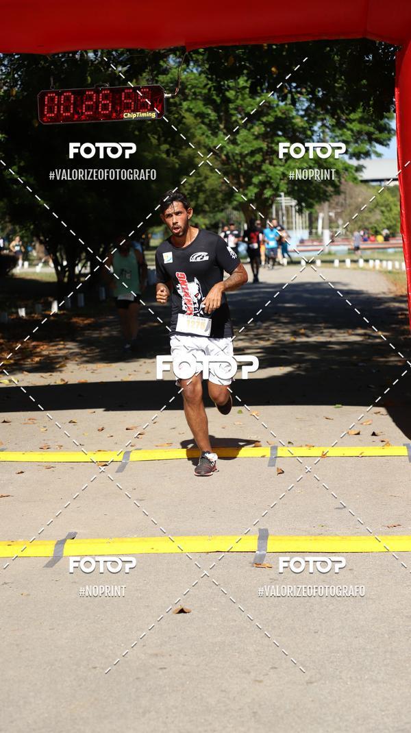 Compre as suas fotos do eventoPIT BULL RUNNING no Fotop