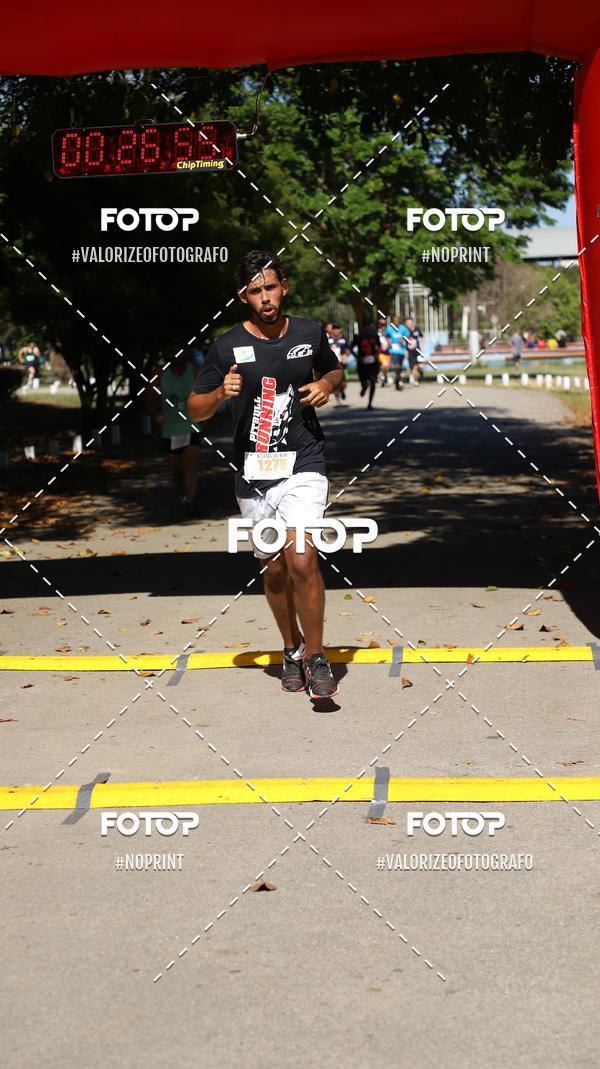 Compra tus fotos del eventoPIT BULL RUNNING En Fotop