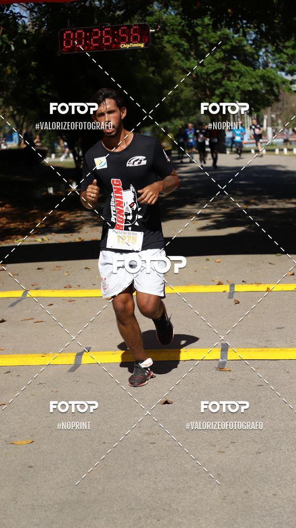 Compra tus fotos del eventoPIT BULL RUNNING En Fotop