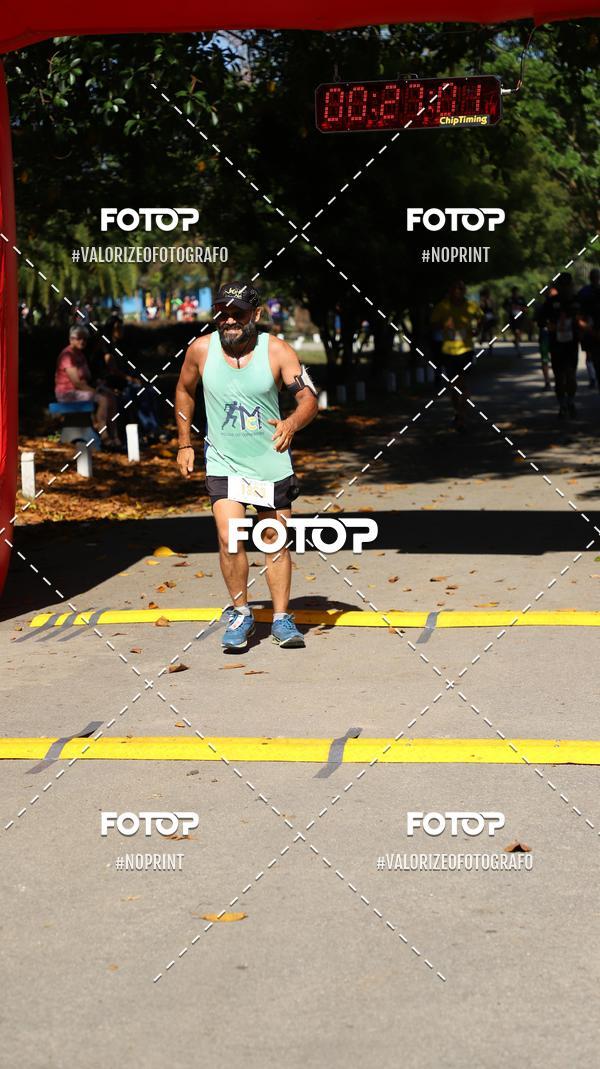Compra tus fotos del eventoPIT BULL RUNNING En Fotop