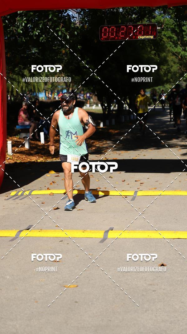 Compra tus fotos del eventoPIT BULL RUNNING En Fotop