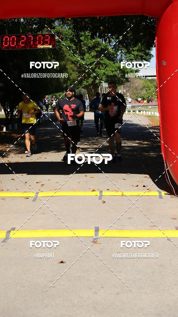 Compra tus fotos del eventoPIT BULL RUNNING En Fotop