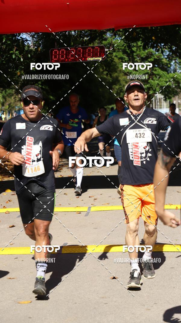 Compra tus fotos del eventoPIT BULL RUNNING En Fotop