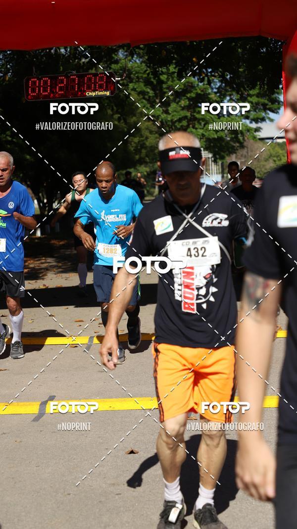 Compra tus fotos del eventoPIT BULL RUNNING En Fotop