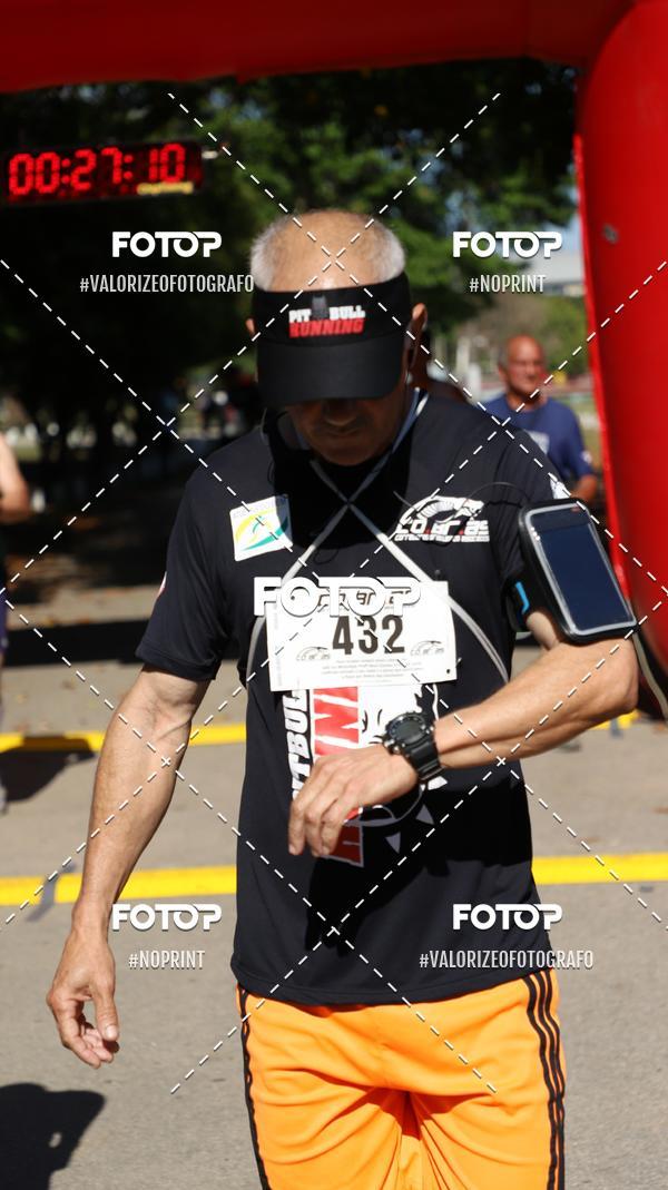 Compra tus fotos del eventoPIT BULL RUNNING En Fotop