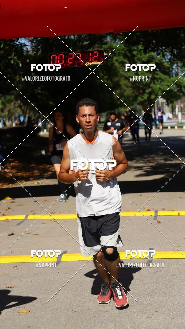 Compra tus fotos del eventoPIT BULL RUNNING En Fotop