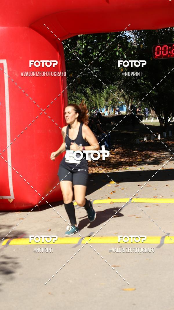 Compra tus fotos del eventoPIT BULL RUNNING En Fotop