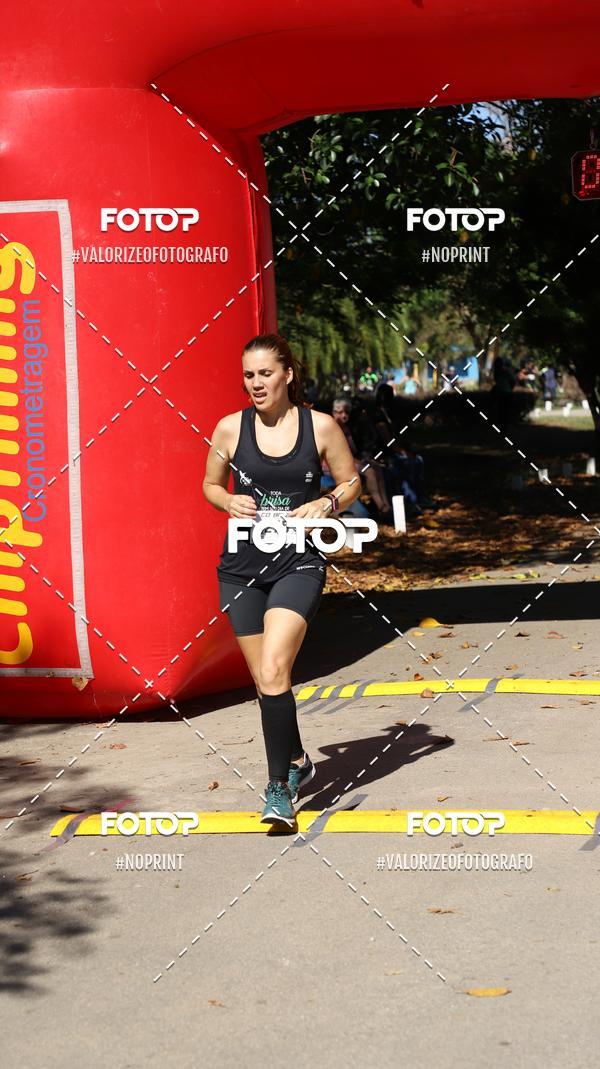 Compra tus fotos del eventoPIT BULL RUNNING En Fotop